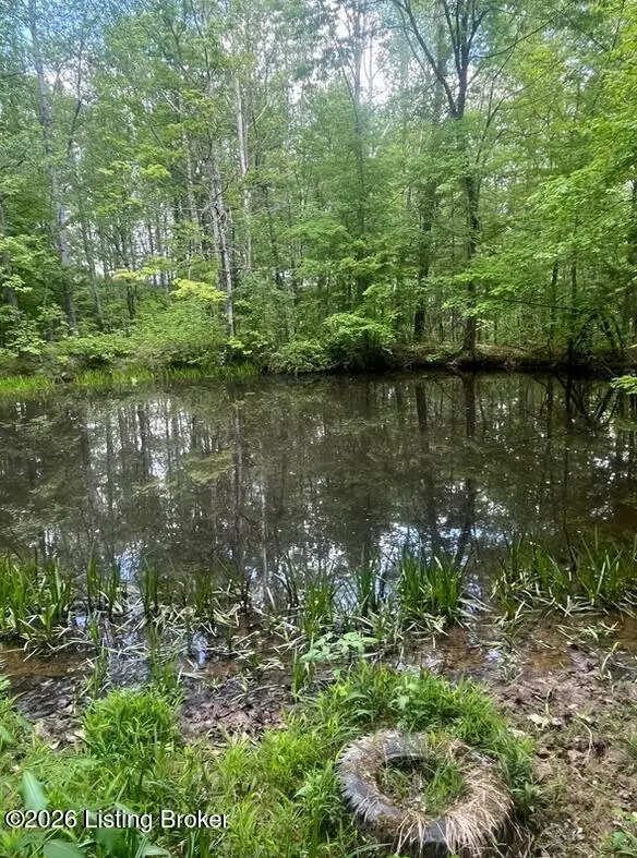 449 Doug Thompson Rd, Lebanon, KY 40033 - #3