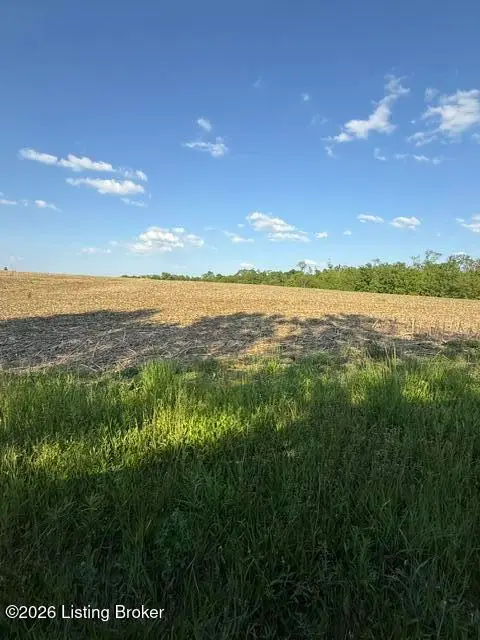 569 Scobie Ln, Sulphur, KY 40070 - #2
