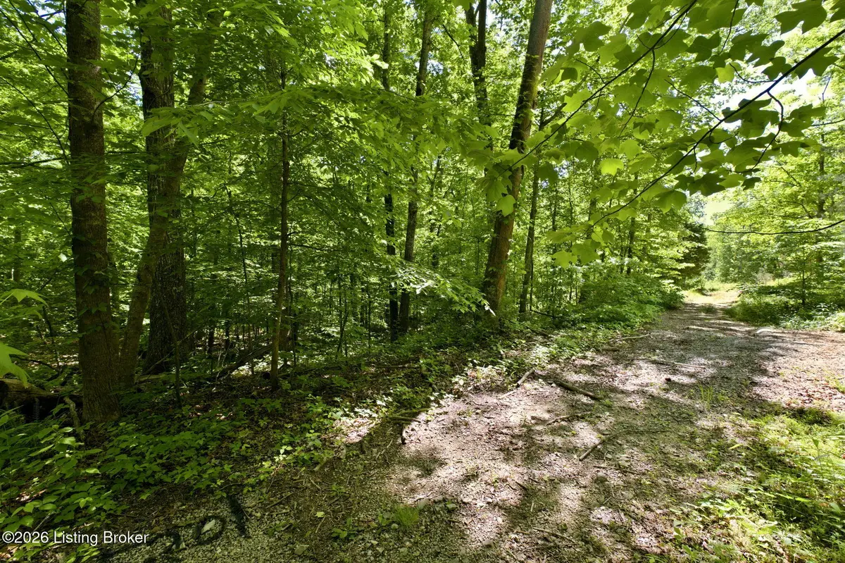 2 Ambassador Shores Dr, Leitchfield, KY 42754 - #1