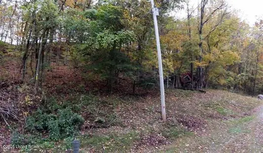 Lots 9-11 Woodland Dr, Cub Run, KY 42729 - #1