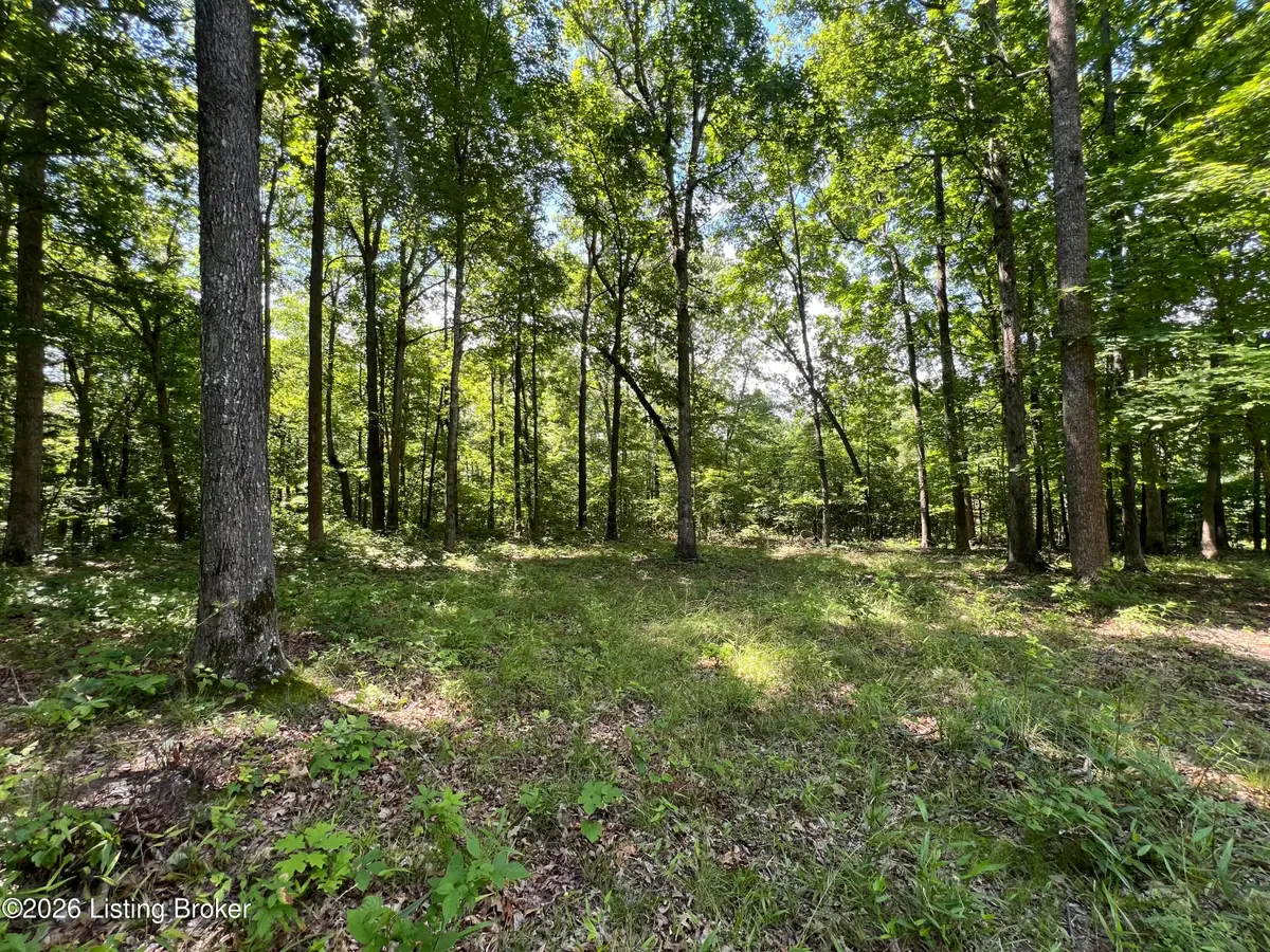 0 Wilderness Dr, Clarkson, KY 42726 - #1