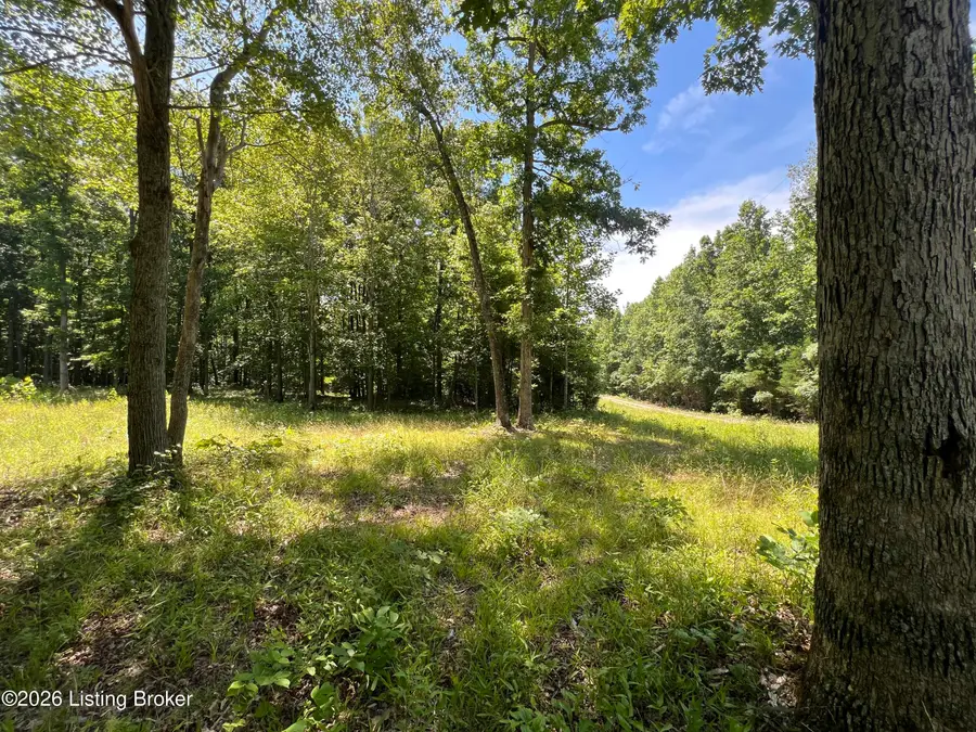 0 Wilderness Dr, Clarkson, KY 42726 - #3