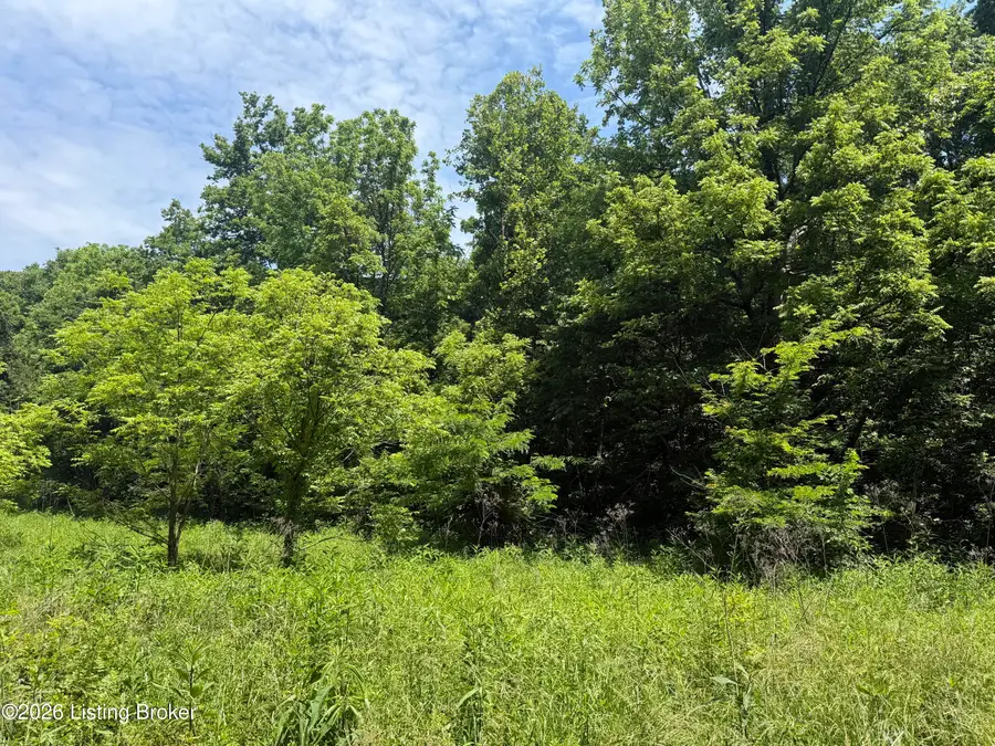 0 Edgar Basham Rd, Irvington, KY 40146 - #2