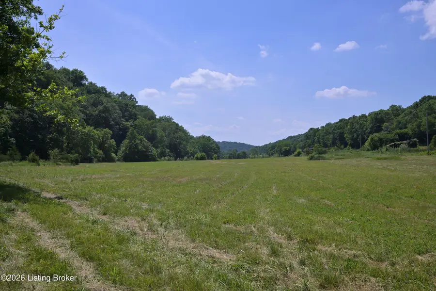 1793 Barebone Rd, Bedford, KY 40006 - #2