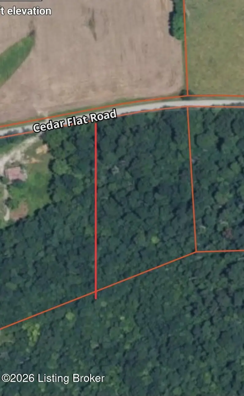 3695 Cedar Flats Rd, Battletown, KY 40104 - #2