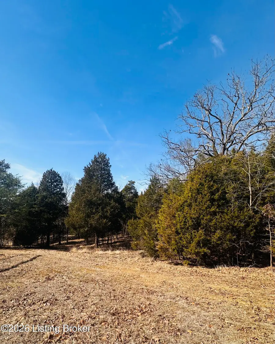 350 Cave Creek Rd, Falls Of Rough, KY 40119 - #2