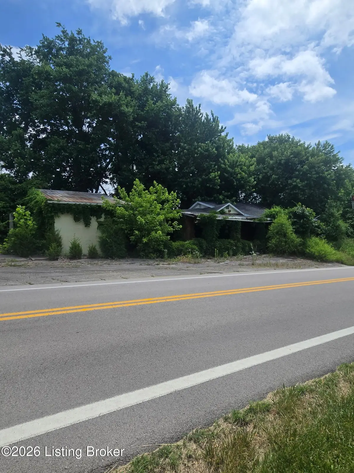 220 Rhodelia Rd, Payneville, KY 40157 - #1