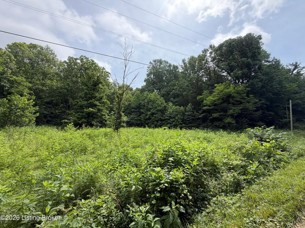 1580 Cedar Grove Rd, Coxs Creek, KY 40013 - #1