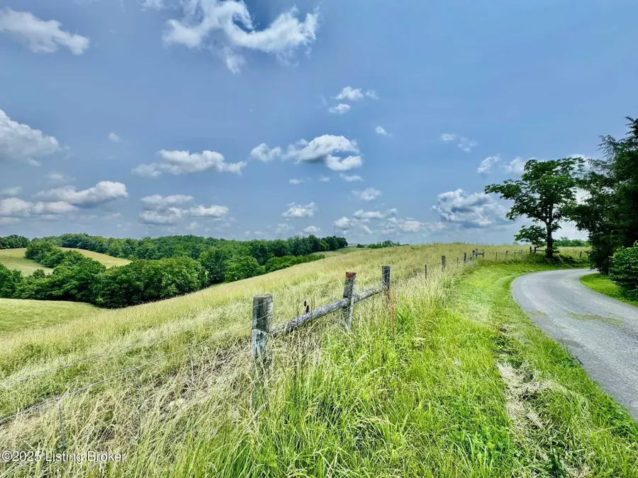3650 Baker Ridge Rd, Willisburg, KY 40078 - #2