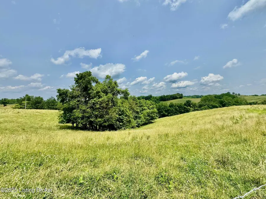 3700 Baker Ridge Rd, Willisburg, KY 40078 - #3