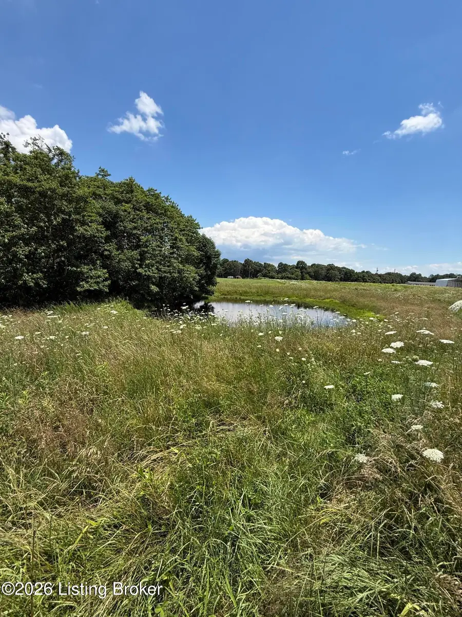 3003 Hardin Springs Rd, Hudson, KY 40145 - #2