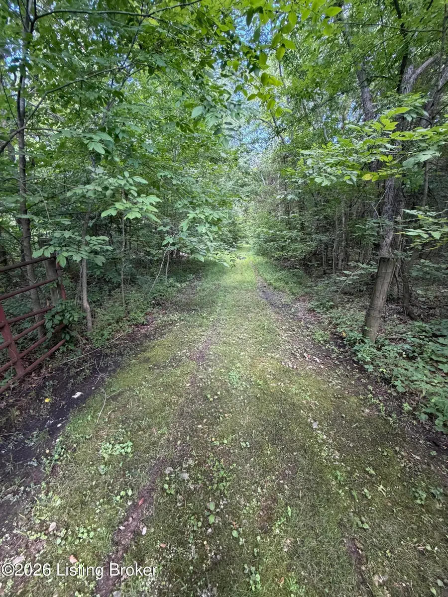 TR 10 Lower Colesburg Rd, Elizabethtown, KY 42701 - #3