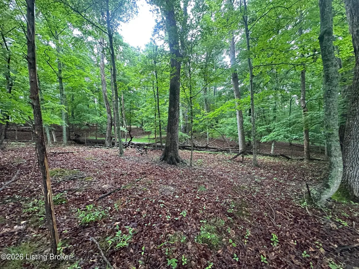 Lot 40 Red Wing Rd, Doe Valley, KY 40108 - #1