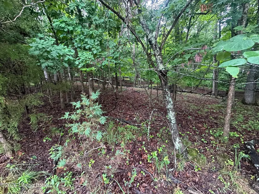 Lot 40 Red Wing Rd, Doe Valley, KY 40108 - #3
