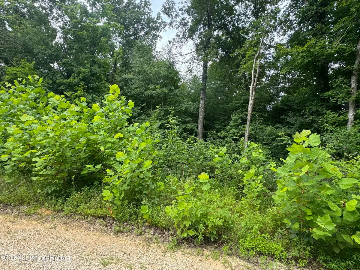 0 Ted Logsdon Rd, Clarkson, KY 42726 - #1