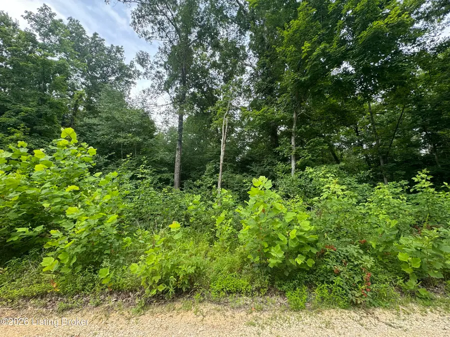 0 Ted Logsdon Rd, Clarkson, KY 42726 - #2