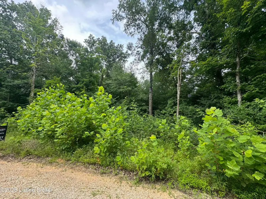 0 Ted Logsdon Rd, Clarkson, KY 42726 - #3