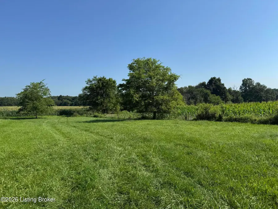 985 Hilton Mill Rd, Leitchfield, KY 42754 - #2