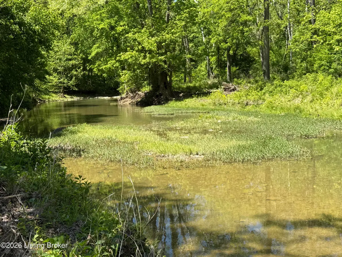 Tract 3 Pea Ridge Rd, Waddy, KY 40076 - #1