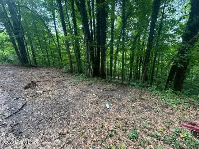 0 Plane Tree Ln, Bee Spring, KY 42207 - #2