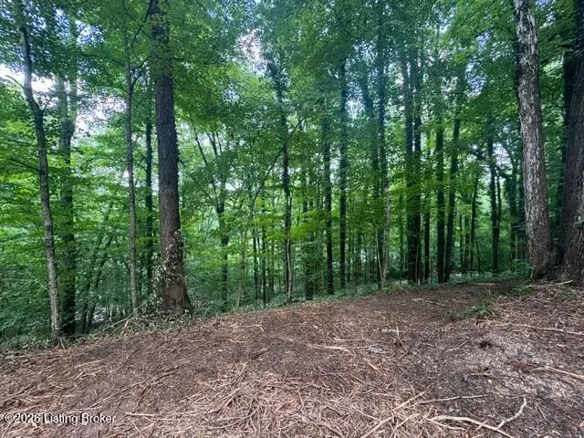0 Plane Tree Ln, Bee Spring, KY 42207 - #3