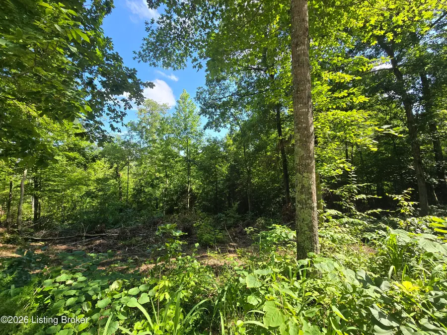 1007 Hunting Ground Rd, Leitchfield, KY 42754 - #2