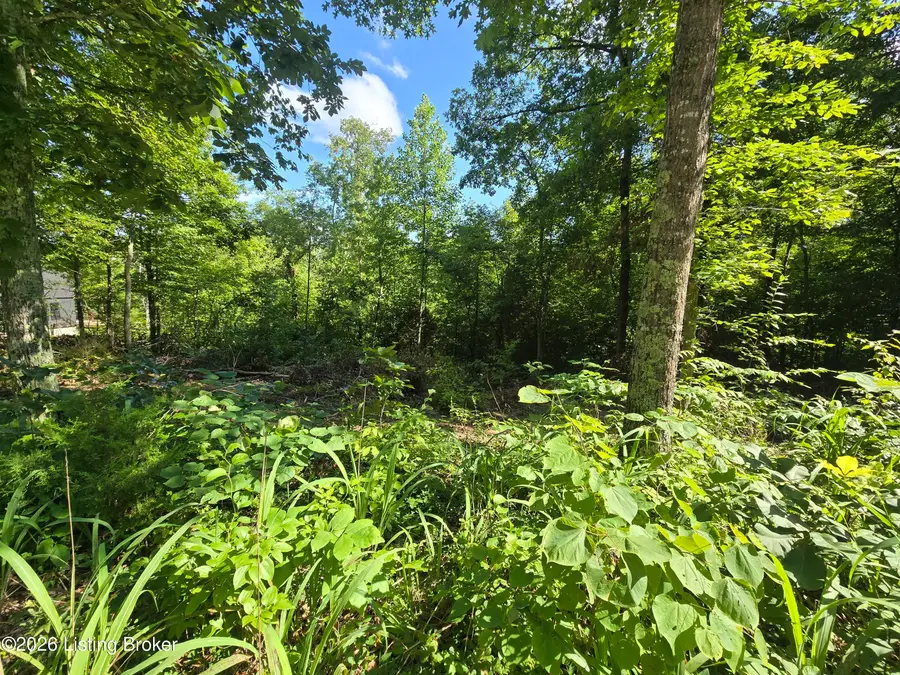 1007 Hunting Ground Rd, Leitchfield, KY 42754 - #3