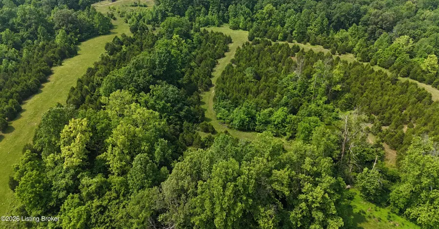 0 Locust Grove Rd, Bonnieville, KY 42713 - #3