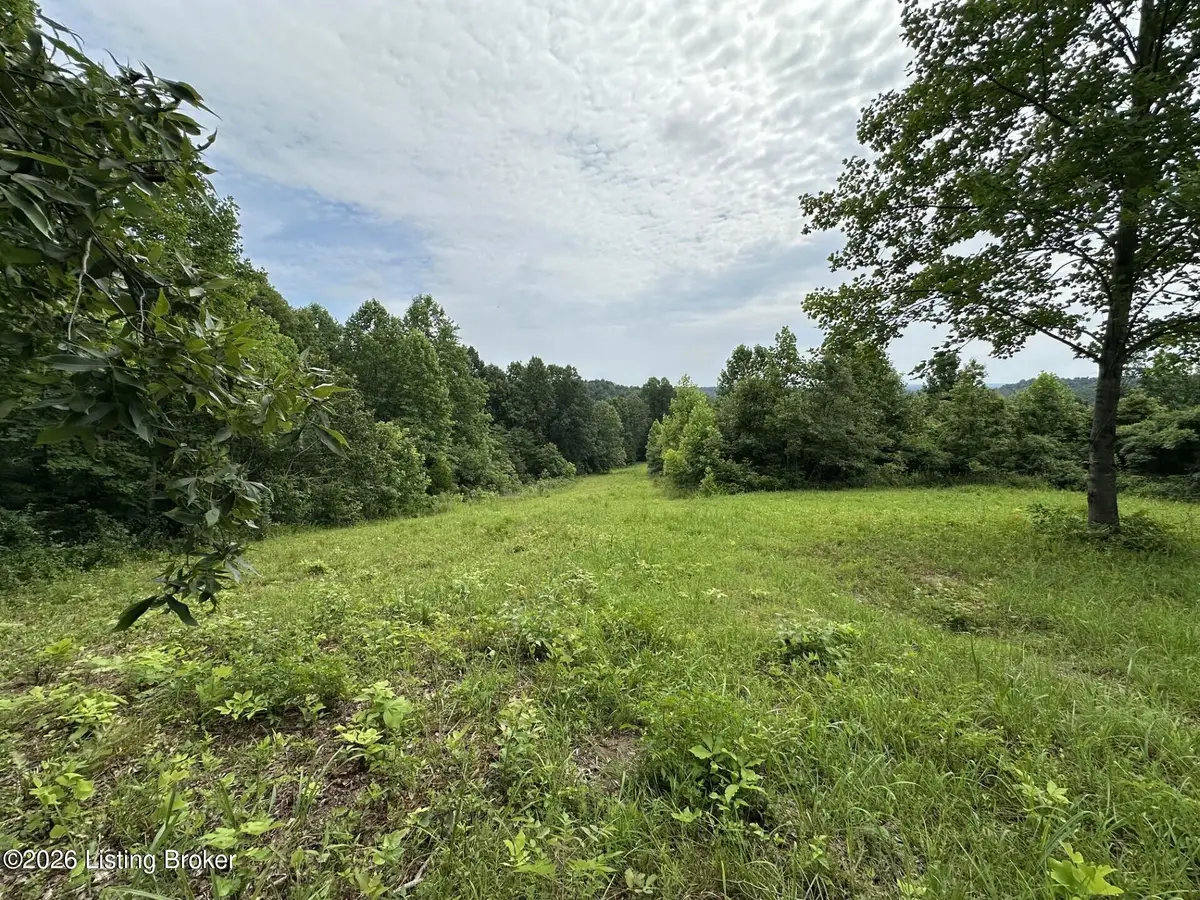 998 Old Buzzard Roost Rd, Clarkson, KY 42726 - #1