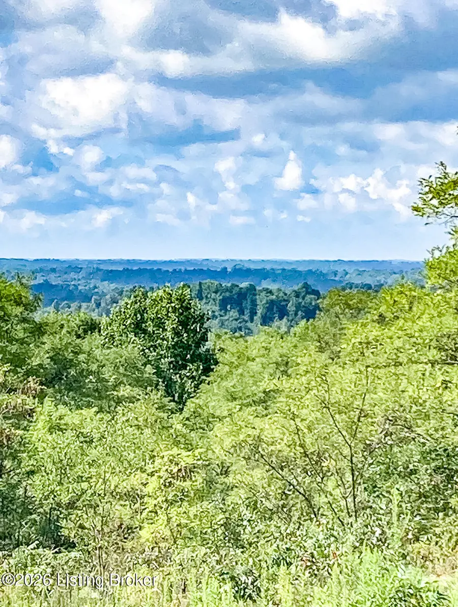 998 Old Buzzard Roost Rd, Clarkson, KY 42726 - #2