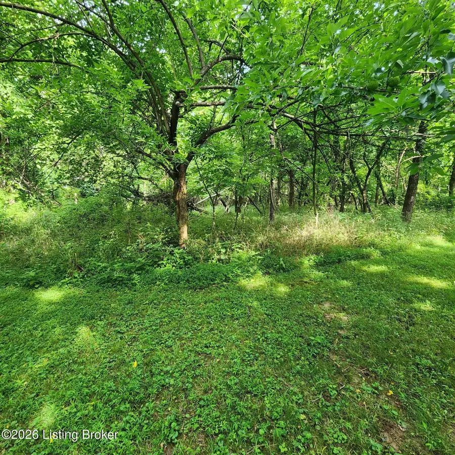 318 Elk Creek Rd, Taylorsville, KY 40071 - #2