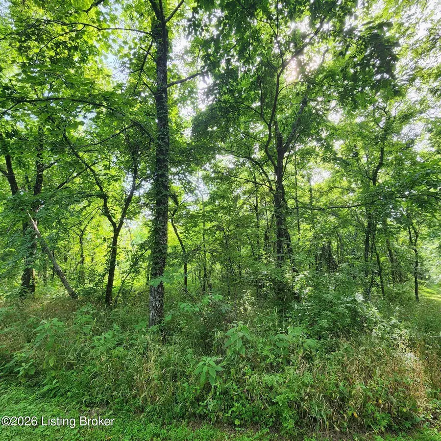 318 Elk Creek Rd, Taylorsville, KY 40071 - #3