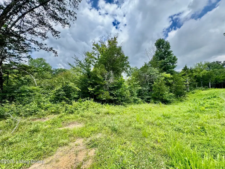 9501-5B Hwy 555, Willisburg, KY 40078 - #3