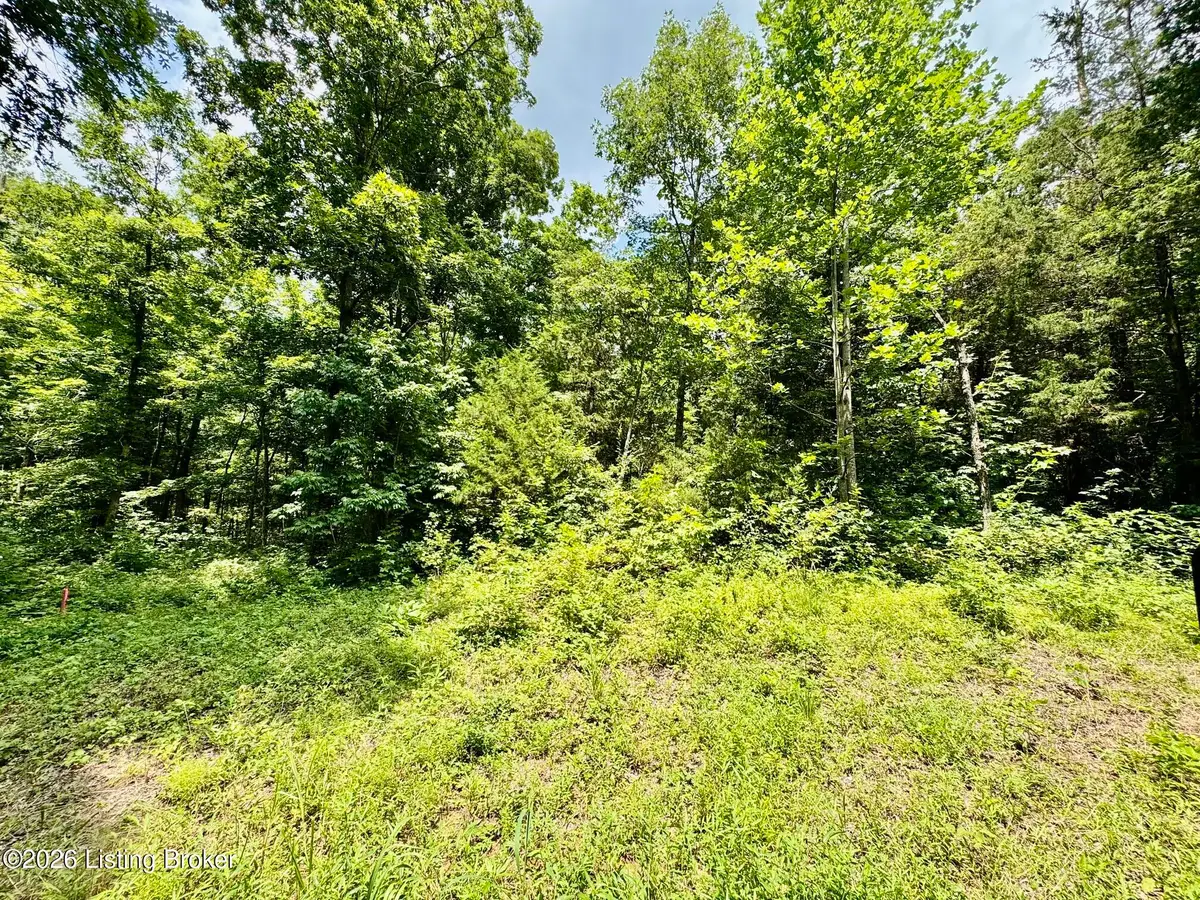 9501-5C Hwy 555, Willisburg, KY 40078 - #1