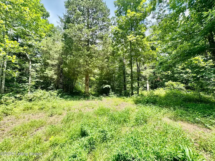 9501-5C Hwy 555, Willisburg, KY 40078 - #2
