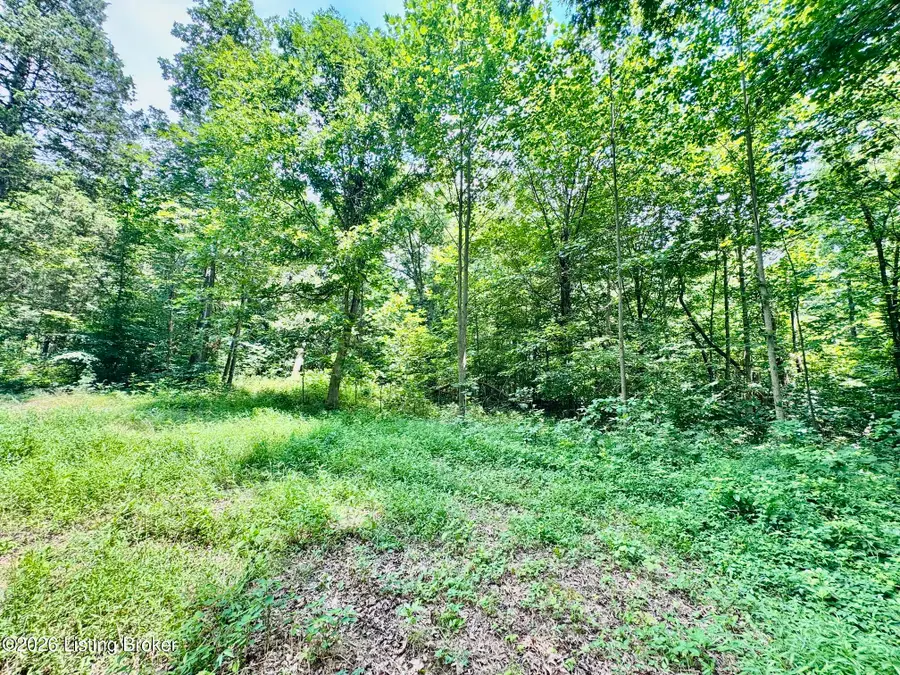 9501-5C Hwy 555, Willisburg, KY 40078 - #3