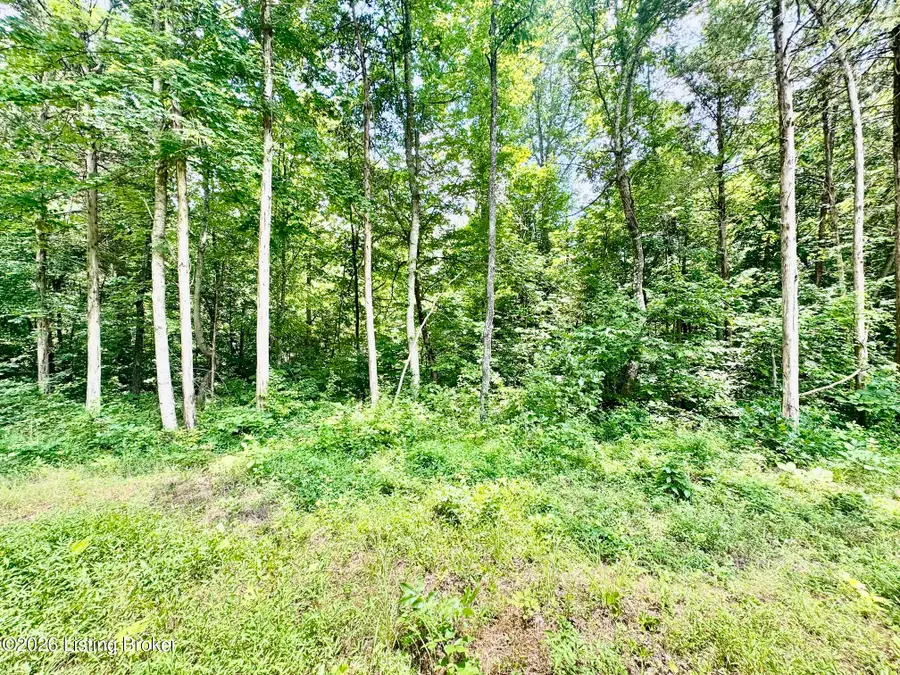 9501-5D Hwy 555, Willisburg, KY 40078 - #2