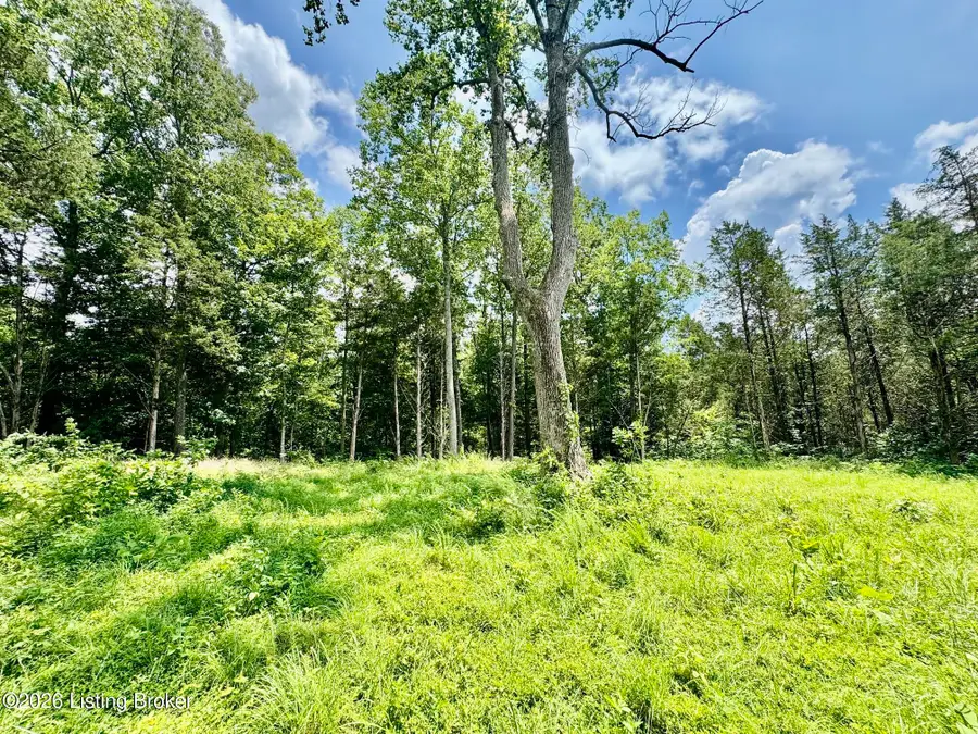9501-5D Hwy 555, Willisburg, KY 40078 - #3
