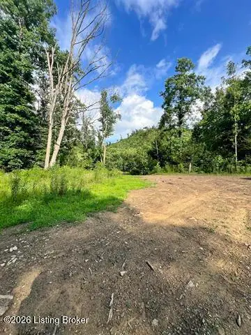 0 Straight Fork Rd, Vanceburg, KY 41179 - #2