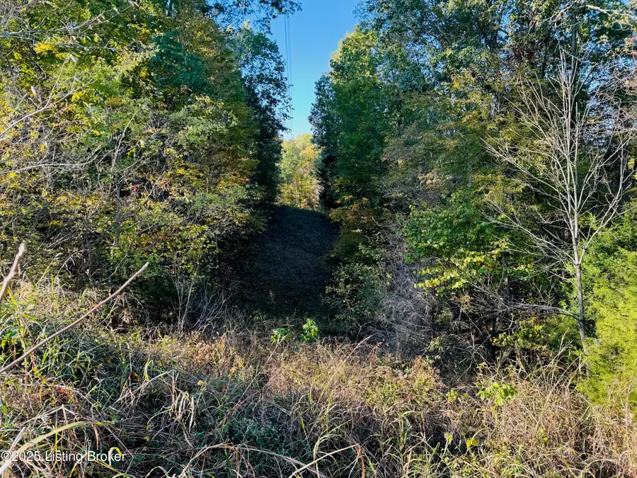 430 Gordon Ford Rd, Willisburg, KY 40078 - #3