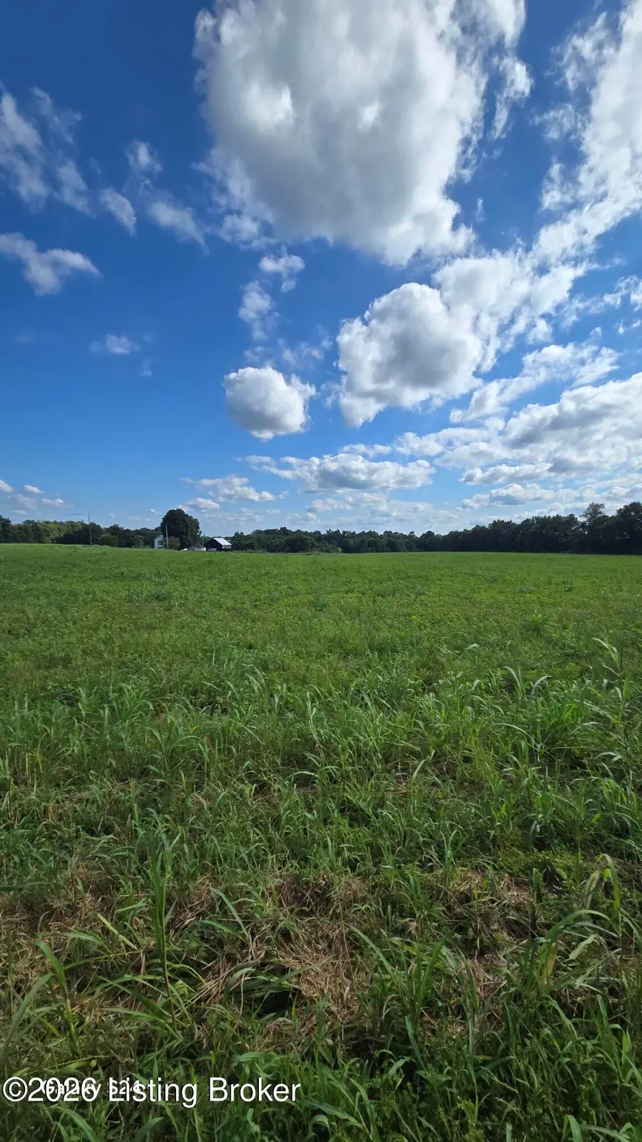 4 Bagdad Rd, Shelbyville, KY 40065 - #2