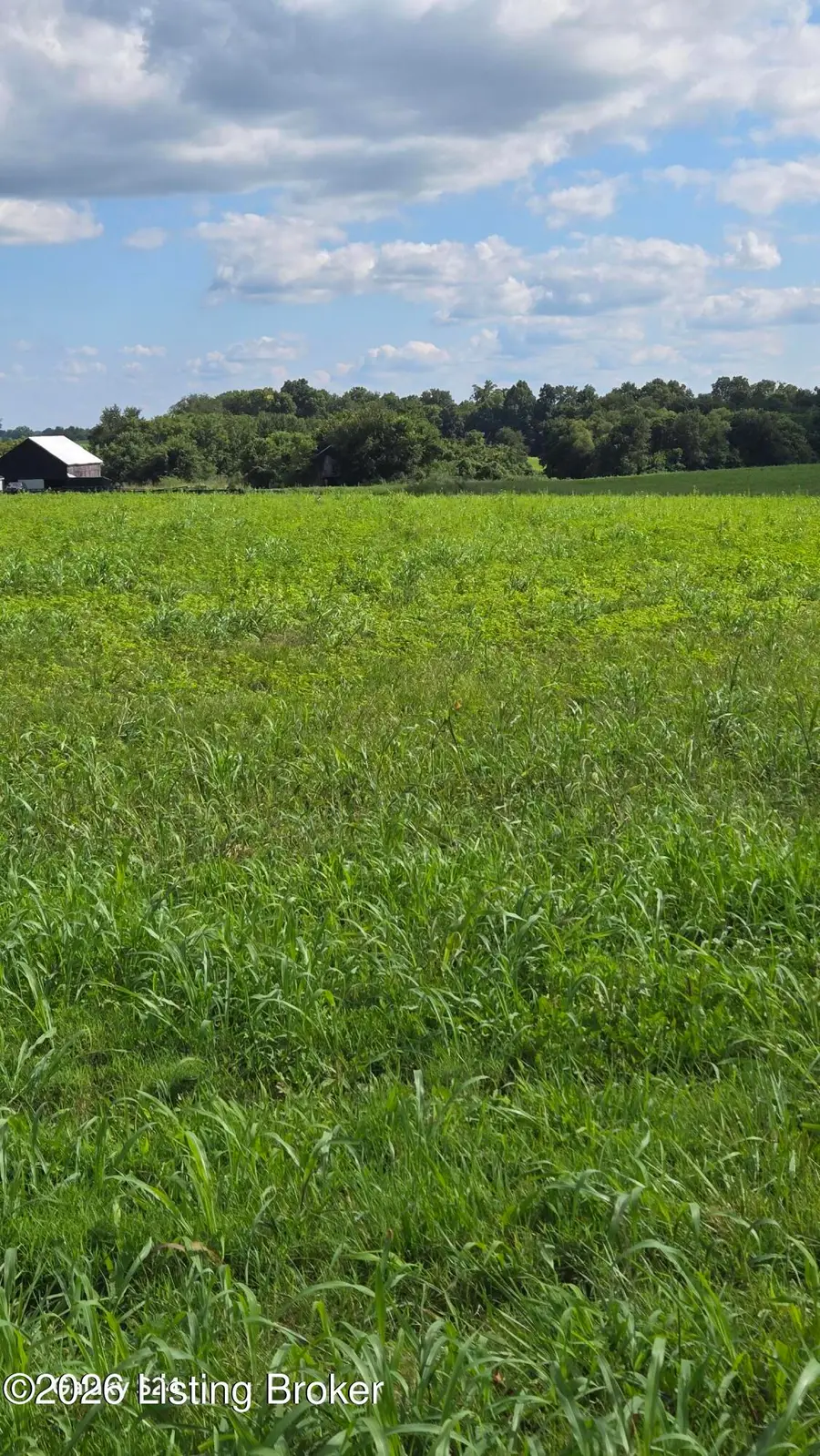 Tract 5 Bagdad Rd, Bagdad, KY 40003 - #2