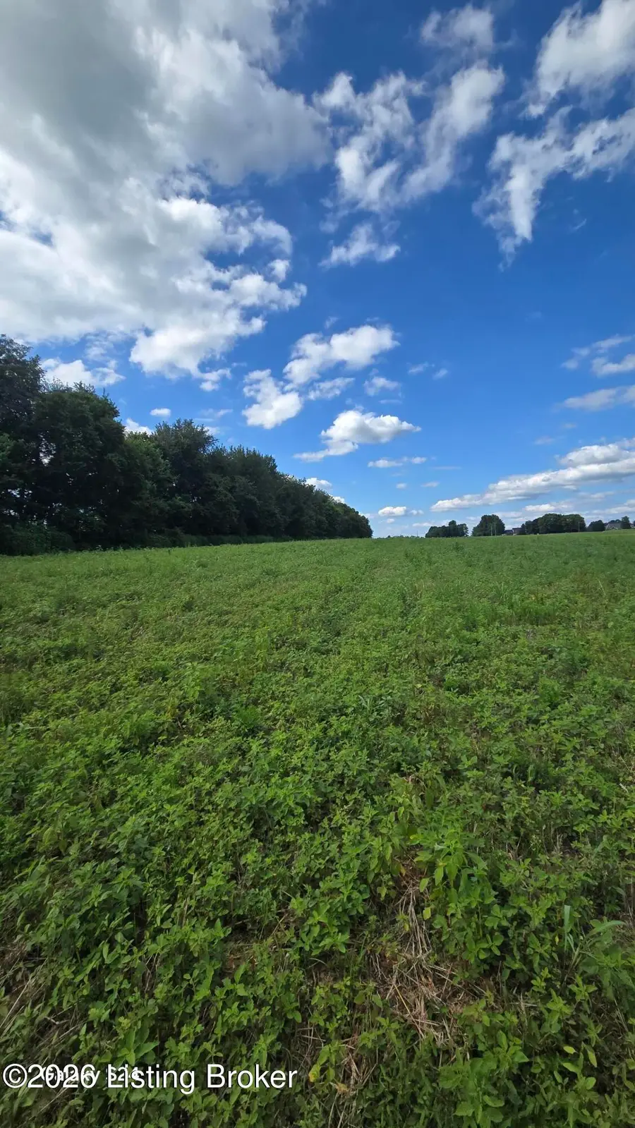 Tract 5 Bagdad Rd, Bagdad, KY 40003 - #3
