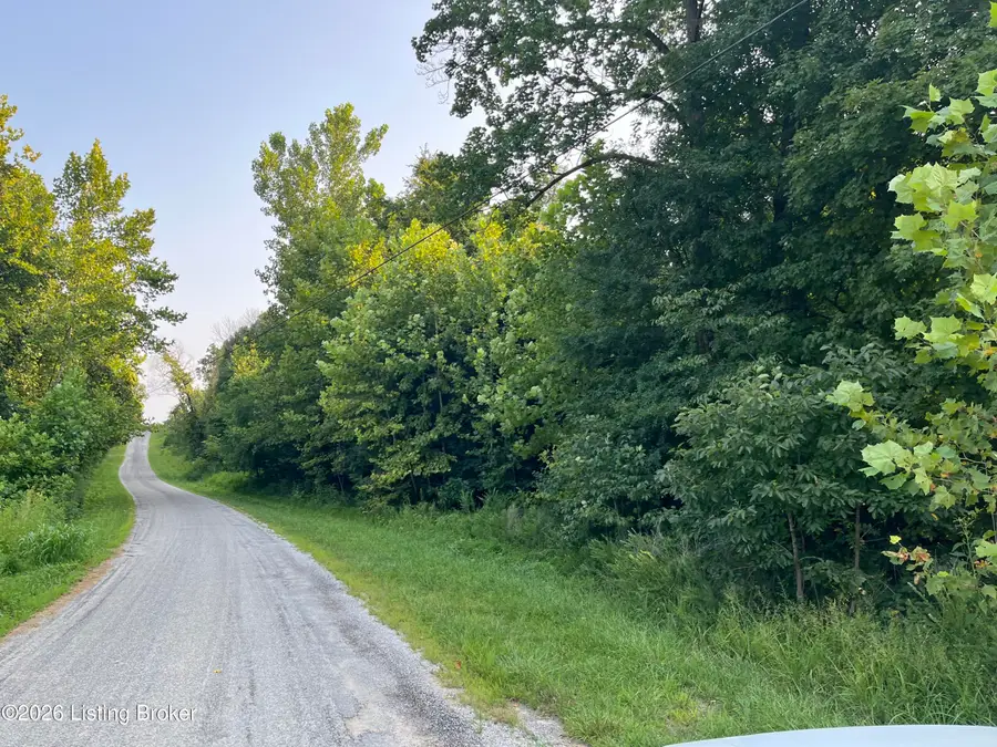 30 Vic Young Rd, Olaton, KY 42361 - #2