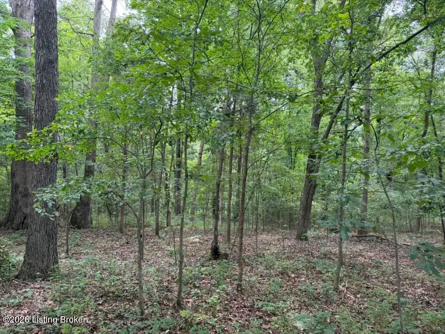 4002 Ky-259, Hardinsburg, KY 40143 - #3