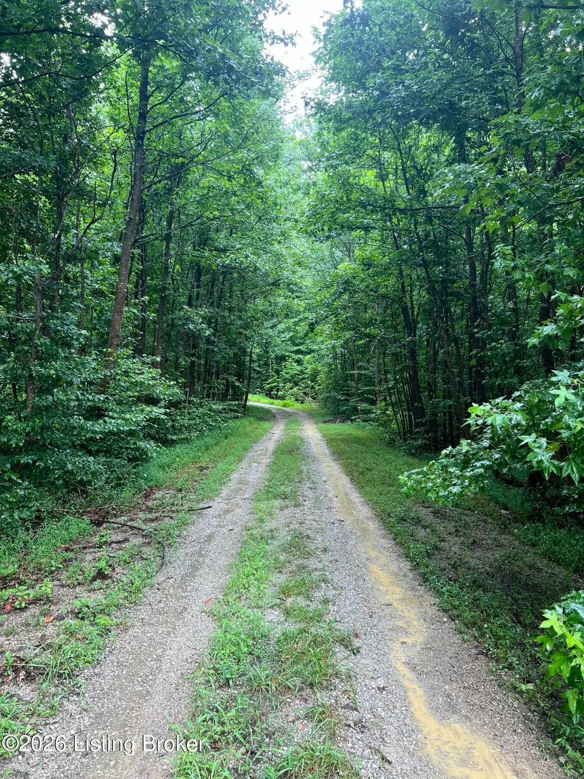 550 Wilson Creek Rd, Boston, KY 40107 - #1
