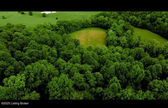 5579 Falls Of Rough Rd, Caneyville, KY 42721 - #2