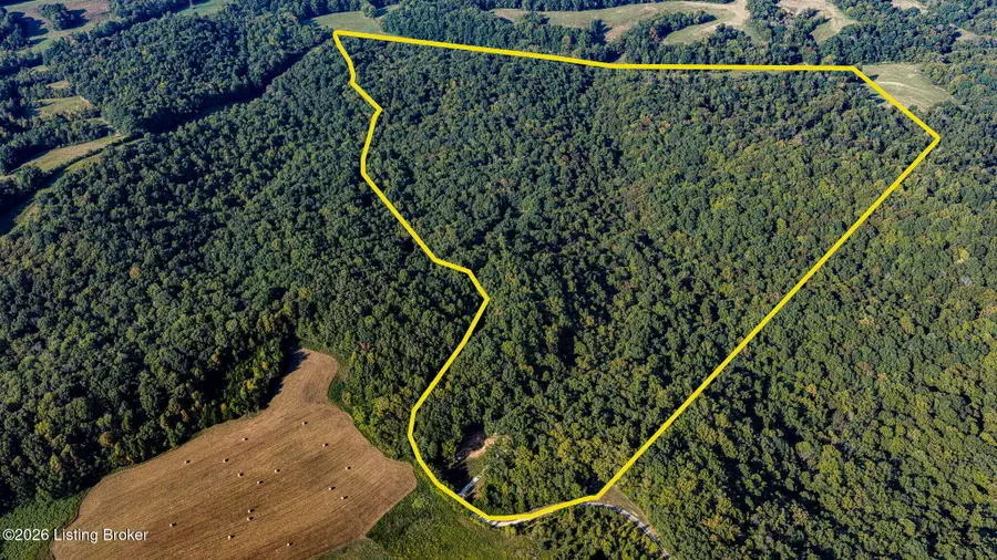 575 Larry Hope Rd, Summer Shade, KY 42166 - #3