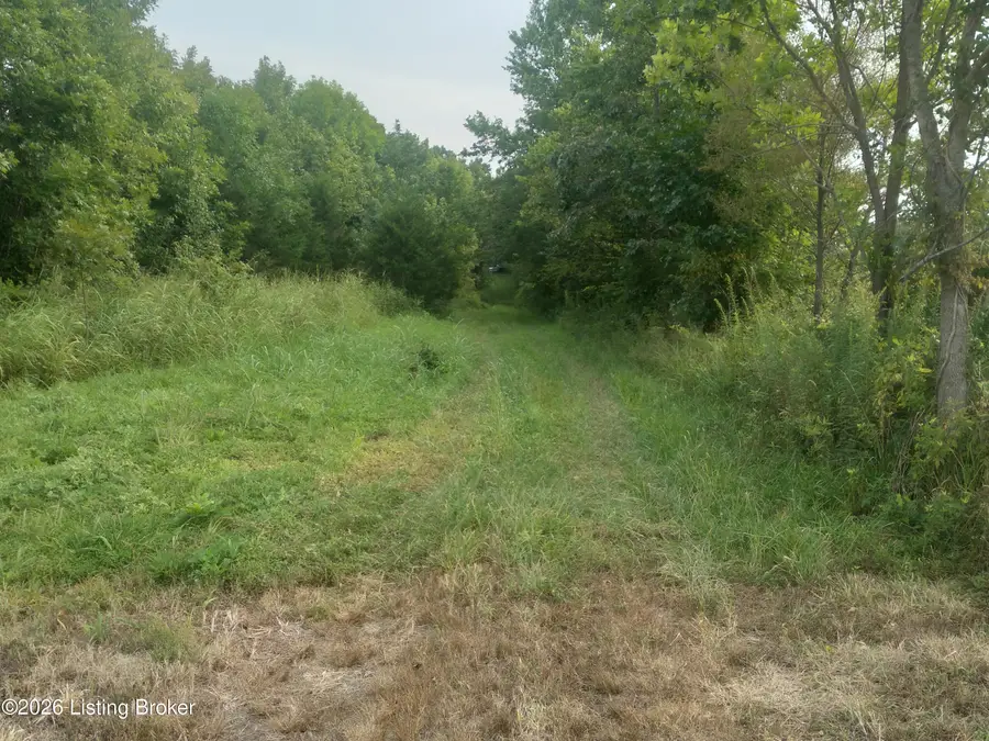 4920 Youngers Creek Rd, New Haven, KY 40051 - #3