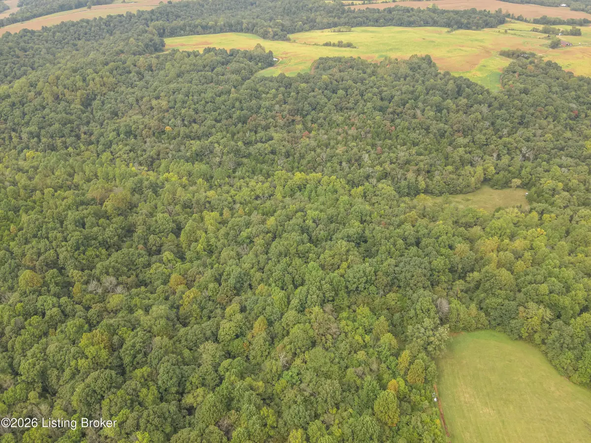 585 Tucker Higgs Rd, Hudson, KY 40145 - #1